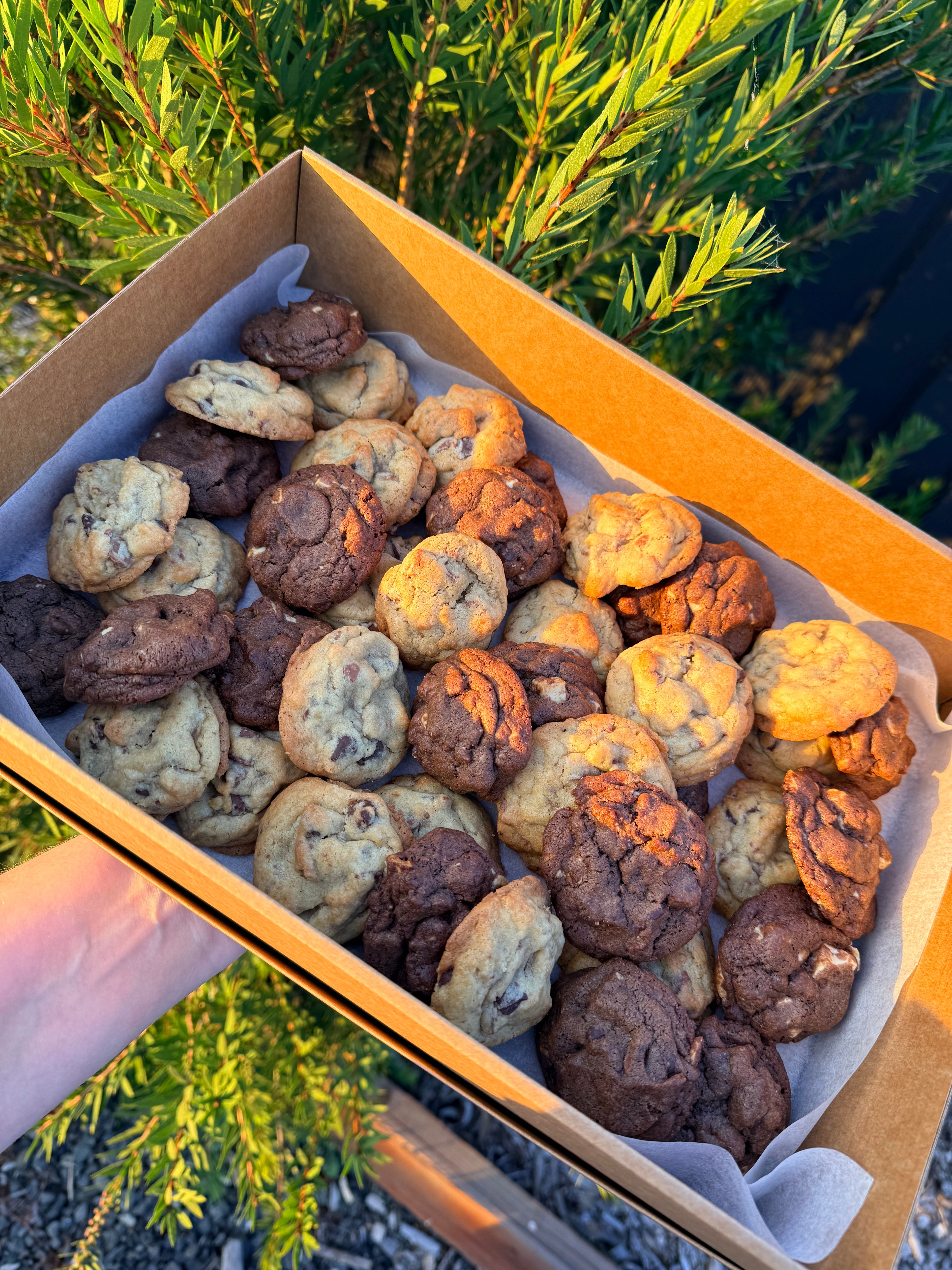 Mini Cookie Catering Box - Large