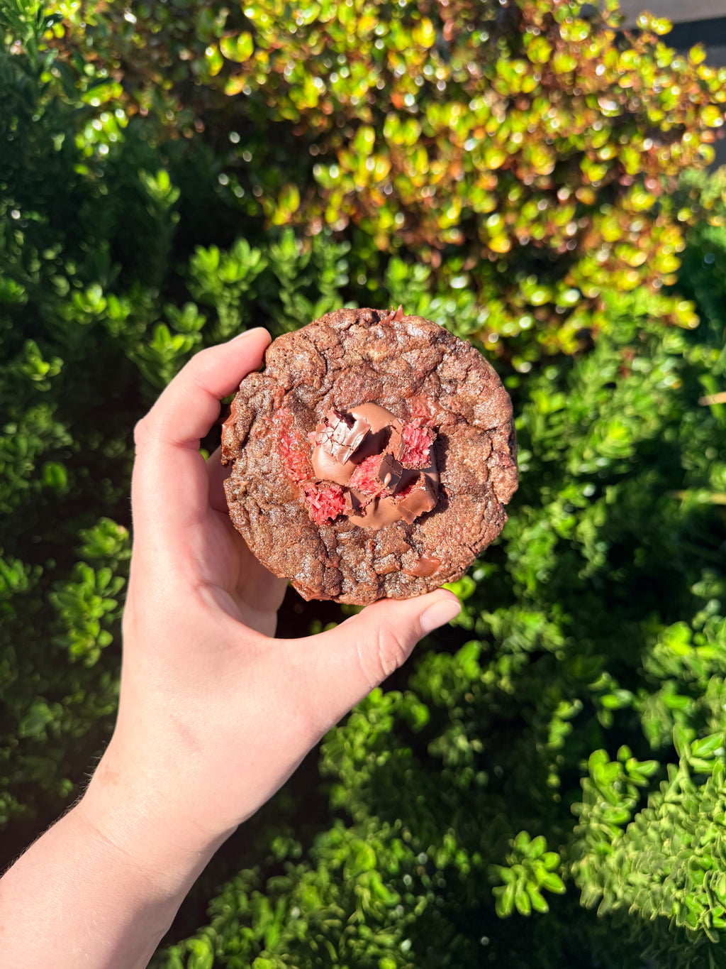 Valentine’s Cookie Box – 4 pack