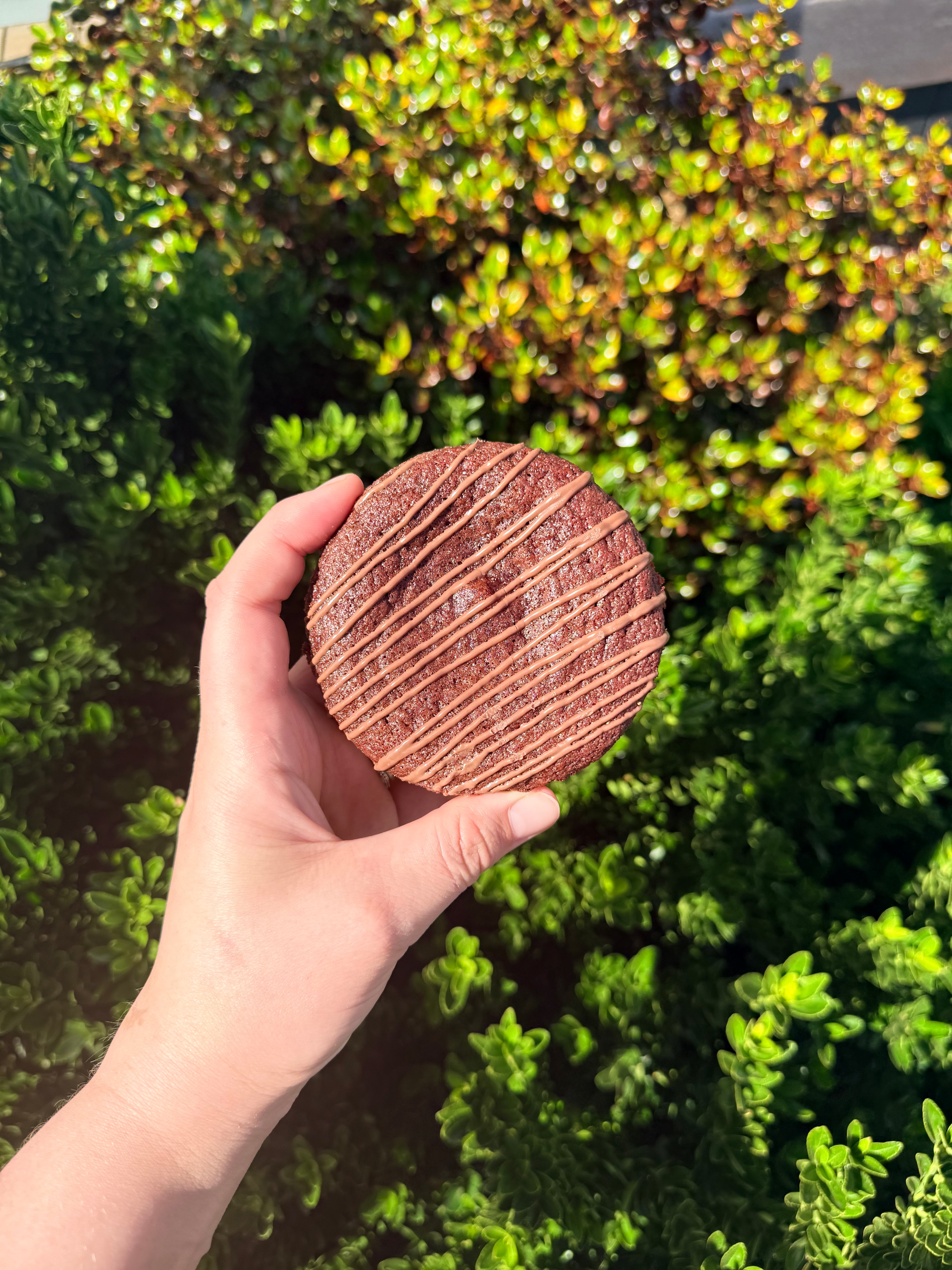 Valentine’s Cookie Box – 4 pack