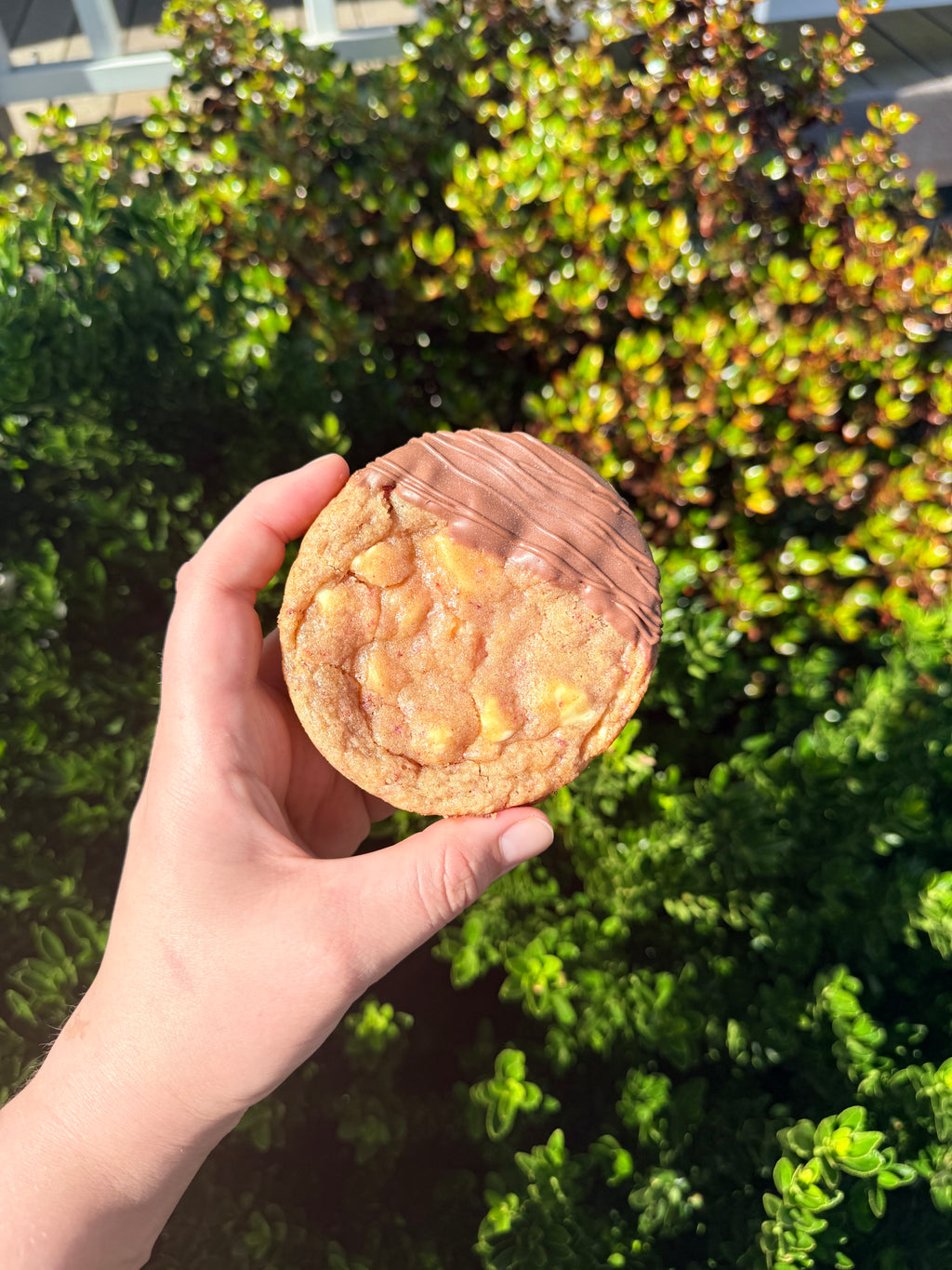 Valentine’s Cookie Box – 4 pack