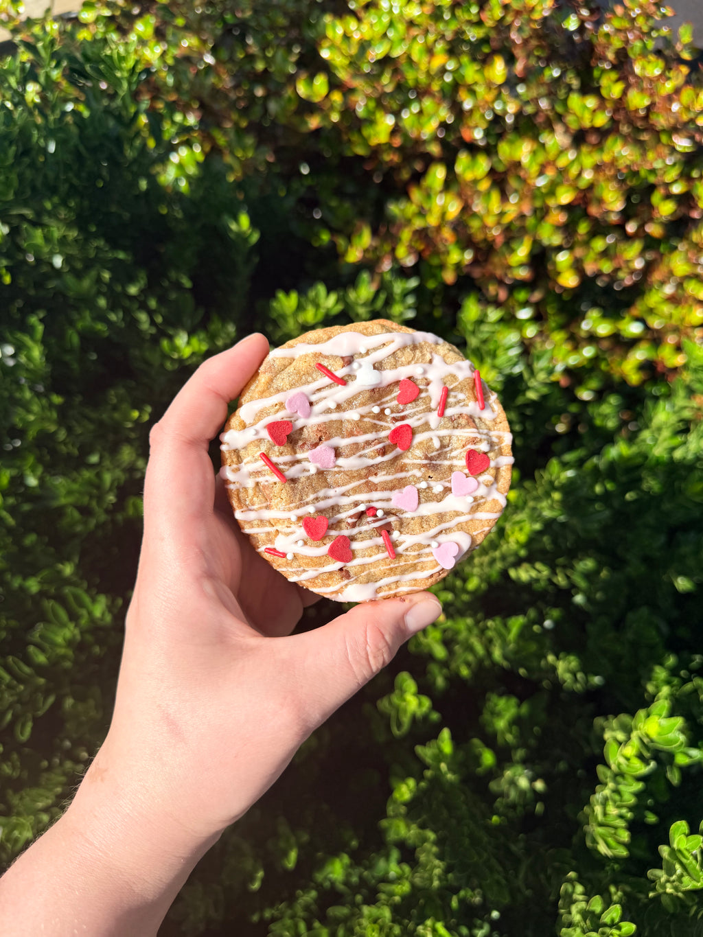 Valentine’s Cookie Box – 4 pack